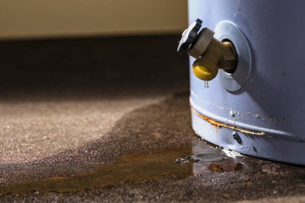  Sandy Hook, CT Water damage restoration Pros
