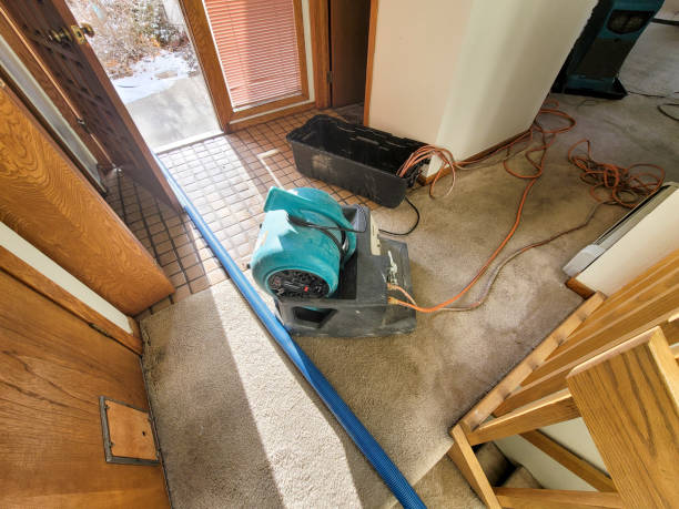 Best Flood damage cleanup  in Sandy Hook, CT