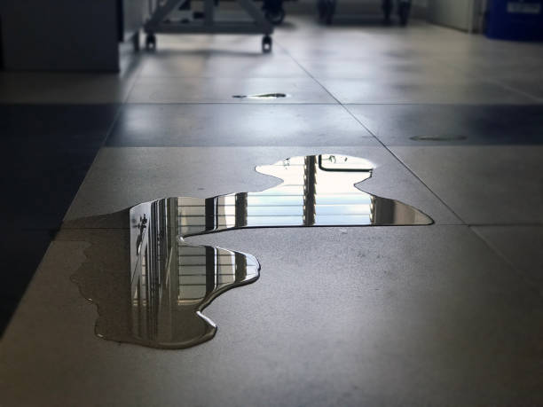 Best Local water damage restoration  in Sandy Hook, CT