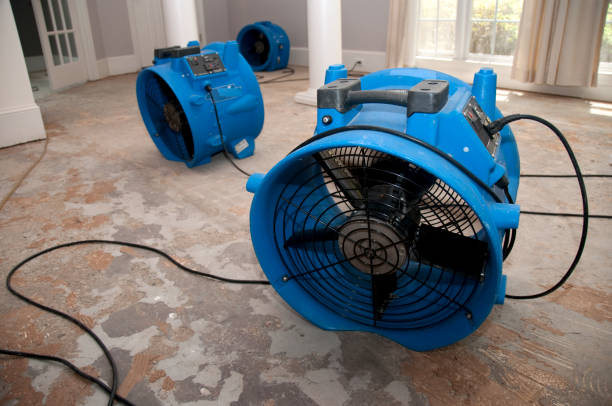 Best Water damage contractors near me  in Sandy Hook, CT