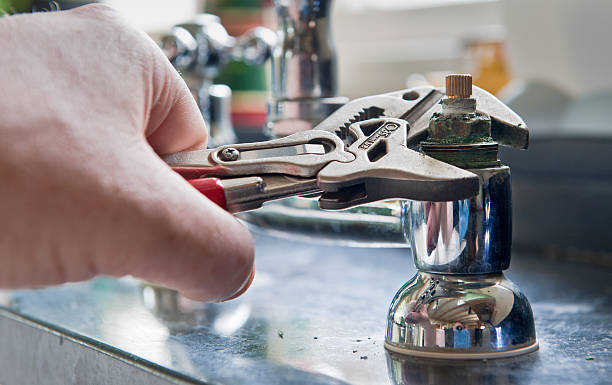 Best Mold removal after water damage  in Sandy Hook, CT