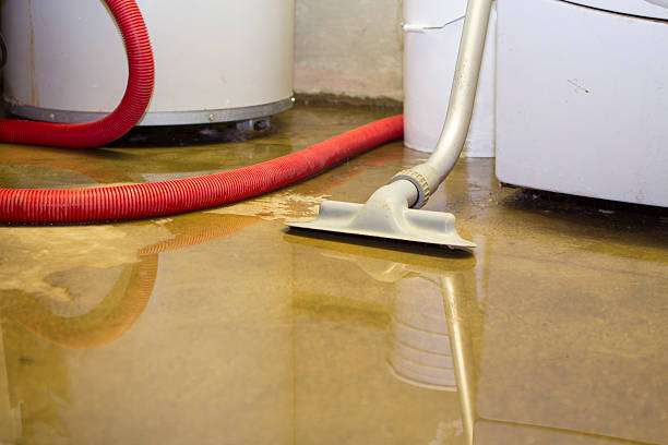 Water damage restoration experts in CT