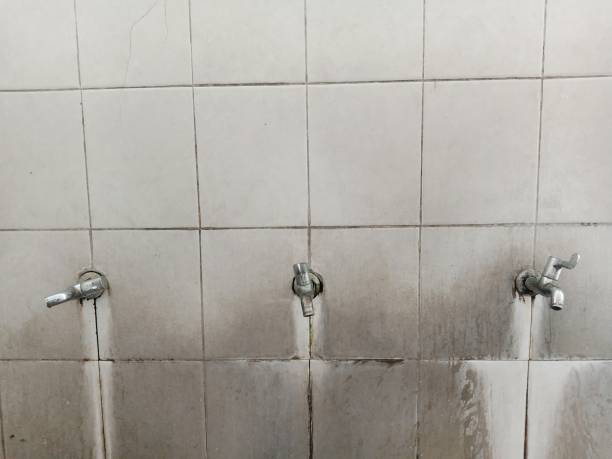 Best Water damage restoration near me  in Sandy Hook, CT